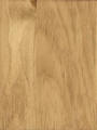 Teak Teak