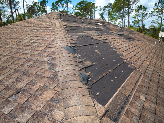 A brown storm damaged roof with missing shingles
