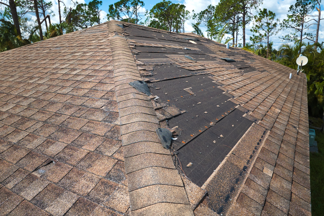 Wind Damaged Roof A brown storm damaged roof with missing shingles